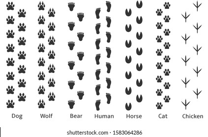 Paw print icon. Dog wolf bear human horse cat chicken prints