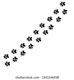 Paw Print icon. Vector blackground