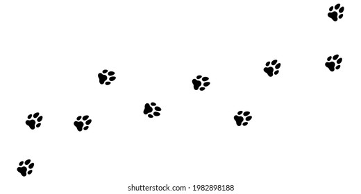 Paw print road background. Vector eps10