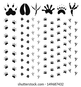 Paw print set. Isolated paw print on white background. EPS 10. Vector illustration