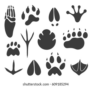 Paw print set. Isolated paw prints on white background