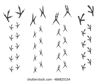 Paw Print. Traces of the bird on white isolated white background.
