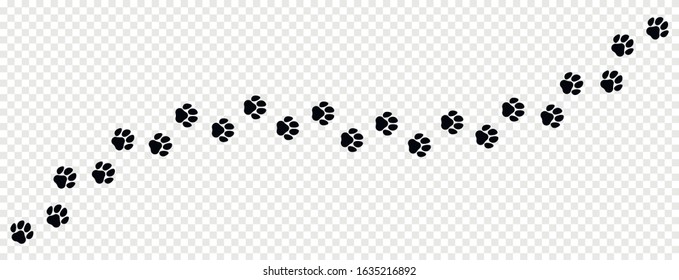 Paw print trail on isolated background. Vector illustration