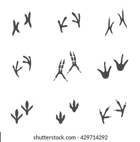 Paw print. Trails of animals steps isolated on white background vector illustration.