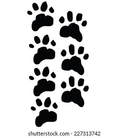 paw print. vector illustration