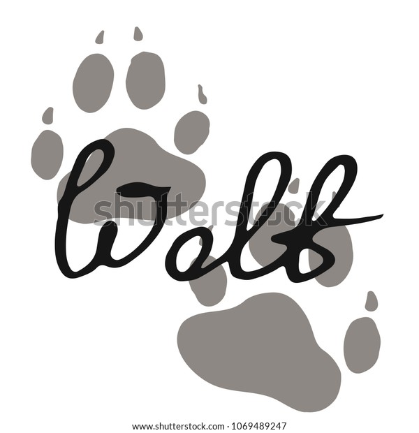 The paw print\
of a wolf. Grey trail of a wild beast. Lettering vector\
illustration. Calligraphy handwritten\
text.