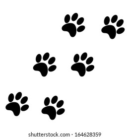 Paw Prints