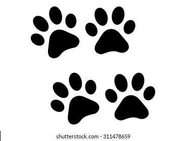 Paw Prints