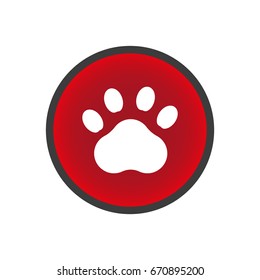 paw prints