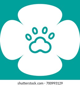 paw prints