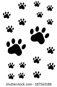 paw prints of an animal on white background