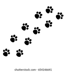 Paw prints. Animal tracks. Animal footprint trail.