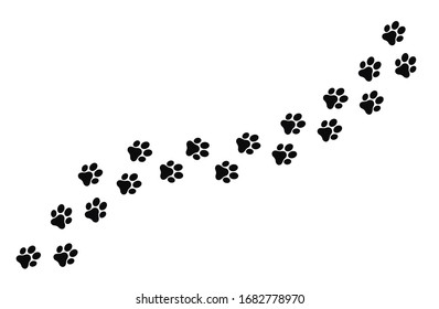 Paw prints of dogs, vector illustration