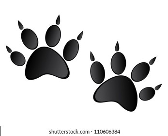 Paw prints isolated on white