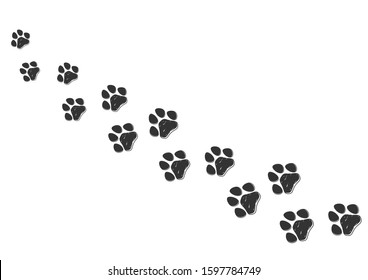 Paw prints isolated on white background vector illustration. Animal foot trail print.