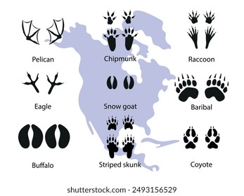 Paw prints of North American animals. Different wild animals footprints black on white illustration. Pelican, eagle, bison, coyote, skunk, raccoon, opossum, bear, goat  for your design.