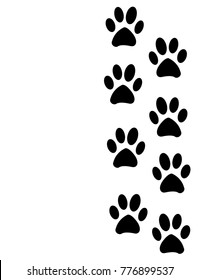 Paw Prints in the snow