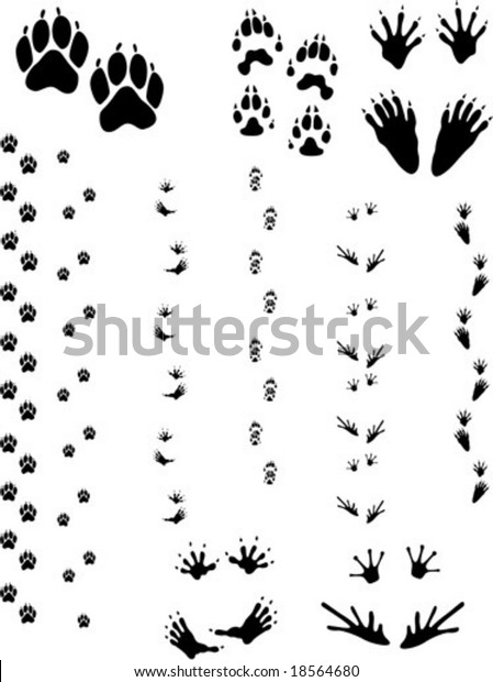 Paw prints and tracks. Top Row: Dog, Wolverine,\
Raccoon. Bottom Row: Opossum, Frog Vectors are all clean objects\
easy to color or add background. All non-black areas are\
transparent in vector file