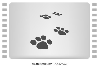 Paw prints vector icon illustration