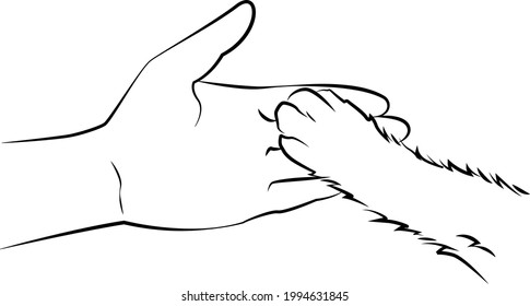 Paw of a puppy or kitten in a human hand