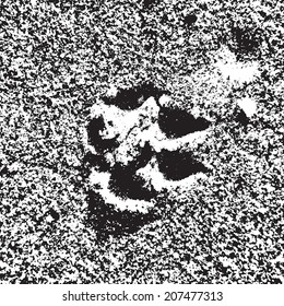 Paw Trace on sand texture. EPS10 vector.