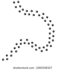 Paw tracks in random pattern