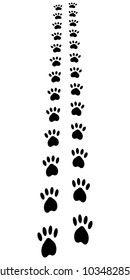 Paw Trail, paw prints animal footprints cat dog, vector disappearing into the distance trail run, vertical banner