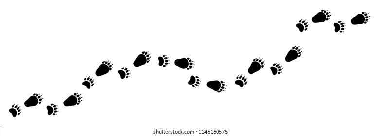 Paw vector foot trail print of bear. Teddy bear silhouette animal diagonal tracks for t-shirts, backgrounds, patterns, design, greeting cards, child prints and etc. It's brush, draw any tracks.