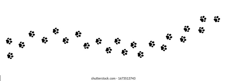 Paw vectorial de la huella del pie en fondo blanco.gato vectorial o Perro, trazado patrón de pistas animales pistas aisladas en fondo blanco