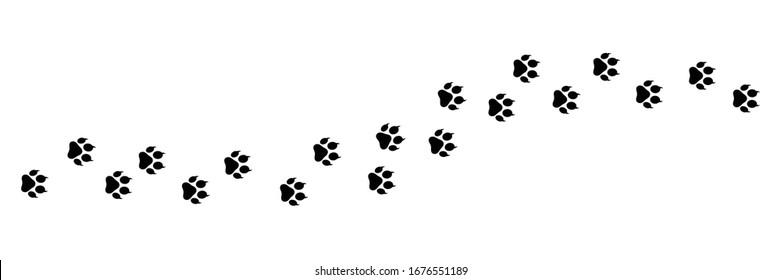 Paw Vector Foot Trail Print On White Background.vector Cat Or Dog, Path Pattern Animal Tracks, Isolated On White Background