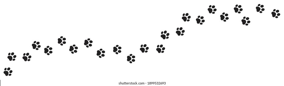 Paw vector foot trail print of cat. Dog, pattern animal tracks  isolated on white background, backgrounds, vector icon Illustration