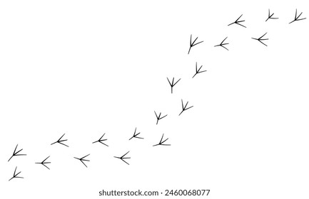 Paw Vektorgrafik Fußweg Print der Katze. Hund, Muster Tier Tracks isoliert auf weißem Hintergrund, Hintergründe, Vektorgrafik Symbol Illustration