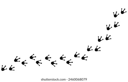 Paw vector foot trail print of cat. Dog, pattern animal tracks isolated on white background, backgrounds, vector icon Illustration
