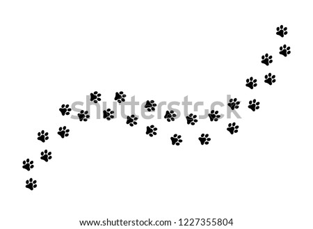 Paw vector  foot trail print of cat. Dog, silhouette animal diagonal track .