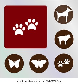 Paw Vector Icon