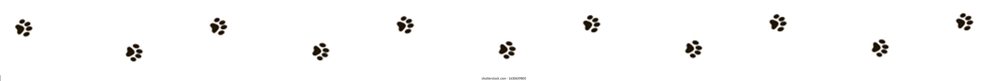 Paw vector trail print of cat isolated on white background. Dog, puppy silhouette animal tracks. Paw Print.  Vector illustration