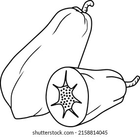 pawpaw color  line vector illustration isolated on white background