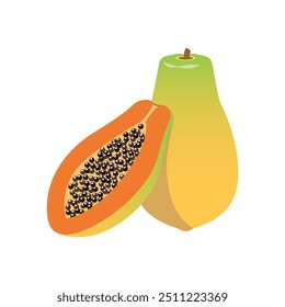 Pawpaw vector icon. Minimalistic illustration of tropic berry - ripe papaya. Healthy eating, raw food, vegetarian, dieting concept.