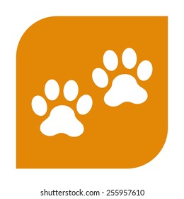 Paws.