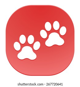 Paws.