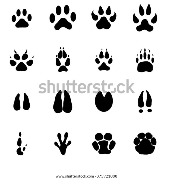 Paws Stock Vector (Royalty Free) 375921088