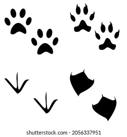paws, animal footprints cat, lion, chicken and duck flat design icon set