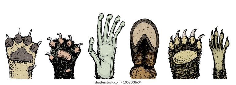 Paws of animals or footprints and wildlife. hands of monkey and dog, bear and frog, cat and hoof of cow. Domestic or farm or pets. Traces of mammals.