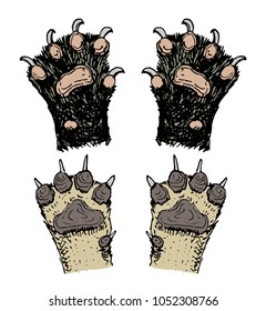 Paws of animals or footprints and wildlife. hands of dog, bear, cat and hoof. Domestic or farm or pets. Traces of mammals.