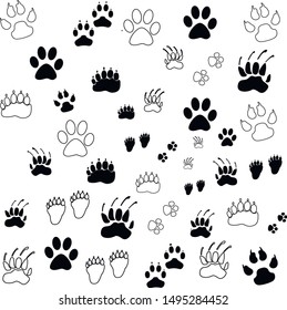 paws animals zoo dog cat 