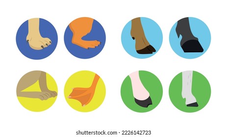 Paws and hooves of different animals