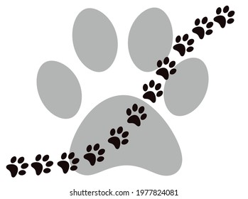 paws isolated on white background
