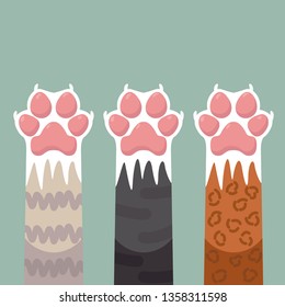 Paws up pets cats set vector design