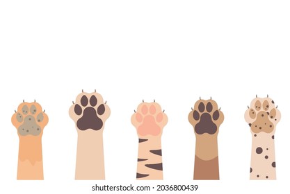 Paws up to pets set isolated on a white background. Vector illustration.