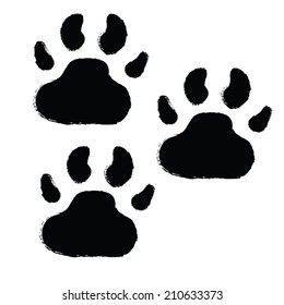 paws print. vector illustration